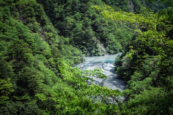 绿源环保公益短剧《地球守护者》 绿源环保公益短剧《地球守护者》 - 免费观看漫剧网站客户案例展示